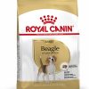 Royal Canin Beagle Adult - رویال کنین غذای خشک برای سگ بیگل بزرگسال پاتی شاپ خرید فروش قیمت غذای گربه سگ تر خشک قیمت بهترین