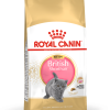 Royal Canin British Shorthair Kitten 2 kg - رویال کنین غذای خشک بچه گربه نژاد بریتیش شورتهر 2 کیلوگرم پاتی شاپ خرید فروش قیمت غذای گربه سگ تر خشک قیمت بهترین