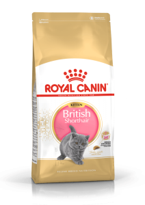 Royal Canin British Shorthair Kitten 2 kg - رویال کنین غذای خشک بچه گربه نژاد بریتیش شورتهر 2 کیلوگرم پاتی شاپ خرید فروش قیمت غذای گربه سگ تر خشک قیمت بهترین