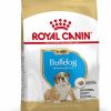 Royal Canin Bulldog Puppy 12 kg - رویال کنین خرید غذای مخصوص توله بولداگ پاتی شاپ خرید فروش قیمت غذای گربه سگ تر خشک قیمت بهترین