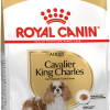 Royal Canin Cavalier King Charles Adult 3 kg - خرید غذای خشک رویال کنین برای سگ کاوالیر کینگ چارلز پاتی شاپ خرید فروش قیمت غذای گربه سگ تر خشک قیمت بهترین