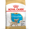 Royal Canin Chihuahua Puppy - غذای خشک مخصوص توله سگ های چیخوآهوا پاتی شاپ خرید فروش قیمت غذای گربه سگ تر خشک قیمت بهترین