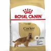 Royal Canin Cocker Adult - رویال کنین خرید غذای خشک سگ کاکر اسپانیل پاتی شاپ خرید فروش قیمت غذای گربه سگ تر خشک قیمت بهترین