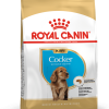 Royal Canin Cocker Spaniel Puppy 3 kg - رویال کنین خرید غذای خشک توله سگ کاکر اسپنیل پاتی شاپ خرید فروش قیمت غذای گربه سگ تر خشک قیمت بهترین