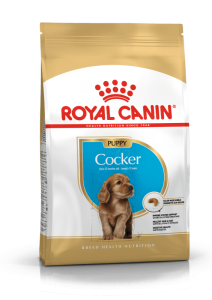 Royal Canin Cocker Spaniel Puppy 3 kg - رویال کنین خرید غذای خشک توله سگ کاکر اسپنیل پاتی شاپ خرید فروش قیمت غذای گربه سگ تر خشک قیمت بهترین