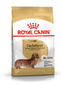 Royal Canin Dachshund Adult - رویال کنین غذای خشک مخصوص سگ داشهند بالغ پاتی شاپ خرید فروش قیمت غذای گربه سگ تر خشک قیمت بهترین