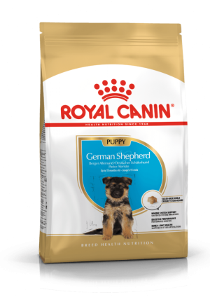 Royal Canin German Shepherd Puppy - رویال کنین غذای خشک توله ژرمن شپرد پاتی شاپ خرید فروش قیمت غذای گربه سگ تر خشک قیمت بهترین