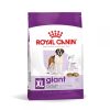 Royal Canin Giant Adult Dog 15 kg - رویال کنین غذای خشک سگ بزرگسال 15 کیلوگرم پاتی شاپ خرید فروش قیمت غذای گربه سگ تر خشک قیمت بهترین