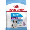 Royal Canin Giant Puppy - رویال کنین غذای خشک ویژه توله های نژاد بزرگ پاتی شاپ خرید فروش قیمت غذای گربه سگ تر خشک قیمت بهترین