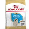 Royal Canin Golden Retriever Puppy 12 kg - رویال کنین غذای خشک توله سگ گلدن رتریور 12 کیلوگرم پاتی شاپ خرید فروش قیمت غذای گربه سگ تر خشک قیمت بهترین