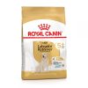 Royal Canin Labrador Retriever Adult 5+ - رویال کنین خرید غذای خشک Labrador Retriever بزرگسال 5 سال به بالا 12 کیلوگرم پاتی شاپ خرید فروش قیمت غذای گربه سگ تر خشک قیمت بهترین