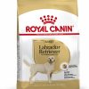 Royal Canin Labrador Retriever Adult - رویال کنین غذای خشک بزرگسالان نژاد لابرادور رتریور پاتی شاپ خرید فروش قیمت غذای گربه سگ تر خشک قیمت بهترین