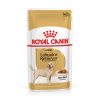 Royal Canin Labrador Retriever Chunks in Gravy - رویال کنین خوراک گربه با طعم چربی و پروتئین 10 عددی 140 گرم پاتی شاپ خرید فروش قیمت غذای گربه سگ تر خشک قیمت بهترین