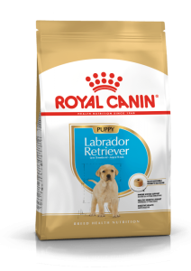 Royal Canin Labrador Retriever Puppy - رویال کنین خرید غذای خشک توله لبؤرد پرتر پاتی شاپ خرید فروش قیمت غذای گربه سگ تر خشک قیمت بهترین