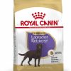 Royal Canin Labrador Retriever Sterilised 12 kg - رویال کنین خرید غذای خشک لابرادور استرلیزه 12 کیلوگرم پاتی شاپ خرید فروش قیمت غذای گربه سگ تر خشک قیمت بهترین