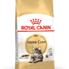 Royal Canin Maine Coon Adult - رویال کنین غذای خشک گربه مین کون بزرگسال پاتی شاپ خرید فروش قیمت غذای گربه سگ تر خشک قیمت بهترین