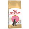 Royal Canin Maine Coon Kitten - رویال کنین غذای خشک مخصوص بچه گربه ماین کون پاتی شاپ خرید فروش قیمت غذای گربه سگ تر خشک قیمت بهترین