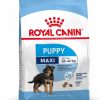 Royal Canin Maxi Puppy - رویال کنین خرید غذای خشک توله سگ بزرگ پاتی شاپ خرید فروش قیمت غذای گربه سگ تر خشک قیمت بهترین