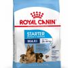 Royal Canin Maxi Starter Mother & Babydog - رویال کنین خرید غذای خشک توله سگ و مادر پاتی شاپ خرید فروش قیمت غذای گربه سگ تر خشک قیمت بهترین