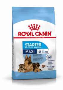 Royal Canin Maxi Starter Mother & Babydog - رویال کنین خرید غذای خشک توله سگ و مادر پاتی شاپ خرید فروش قیمت غذای گربه سگ تر خشک قیمت بهترین