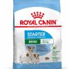 Royal Canin Mini Starter Mother & Babydog - رویال کنین خرید غذای خشک برای توله سگ‌ها و مادران پاتی شاپ خرید فروش قیمت غذای گربه سگ تر خشک قیمت بهترین