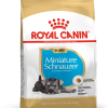 Royal Canin Miniature Schnauzer Puppy 1.5 kg - رویال کنین غذای خشک مخصوص توله سگ مینیاتوری اشناوزر 1.5 کیلوگرم پاتی شاپ خرید فروش قیمت غذای گربه سگ تر خشک قیمت بهترین