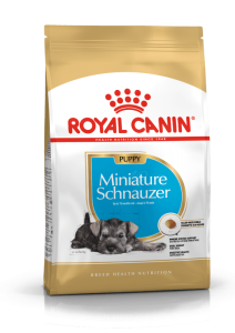 Royal Canin Miniature Schnauzer Puppy 1.5 kg - رویال کنین غذای خشک مخصوص توله سگ مینیاتوری اشناوزر 1.5 کیلوگرم پاتی شاپ خرید فروش قیمت غذای گربه سگ تر خشک قیمت بهترین