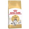 Royal Canin Norwegian Forest Cat Adult - رویال کنین غذا برای گربه نروژی جنگلی بالغ پاتی شاپ خرید فروش قیمت غذای گربه سگ تر خشک قیمت بهترین