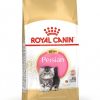 Royal Canin Persian Kitten - غذای خشک مخصوص توله گربه های پرشین پاتی شاپ خرید فروش قیمت غذای گربه سگ تر خشک قیمت بهترین