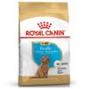 Royal Canin Poodle Puppy 3 kg - رویال کنین خرید غذای خشک توله پودل پاتی شاپ خرید فروش قیمت غذای گربه سگ تر خشک قیمت بهترین