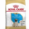 Royal Canin Pug Puppy 1.5 kg - رویال کنین غذای خشک مخصوص توله پاگ پاتی شاپ خرید فروش قیمت غذای گربه سگ تر خشک قیمت بهترین