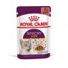 Royal Canin Sensory Taste Cat Chunks in Gravy - رویال کنین خرید غذای مرطوب گربه با طعم حسی (12 x 85 g) پاتی شاپ خرید فروش قیمت غذای گربه سگ تر خشک قیمت بهترین