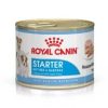 Royal Canin Starter Mother & Babydog Ultra Soft Mousse - رویال کنین غذای تر برای مادر و توله سگ (12 x 195 g) پاتی شاپ خرید فروش قیمت غذای گربه سگ تر خشک قیمت بهترین