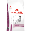 Royal Canin Veterinary Cardiac Dog - رویال کنین خرید غذای خشک برای سگ‌های مبتلا به مشکلات قلبی پاتی شاپ خرید فروش قیمت غذای گربه سگ تر خشک قیمت بهترین