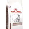 Royal Canin Veterinary Hepatic Dog - رویال کنین خرید غذای خشک برای سگ های دارای بیماری کبدی پاتی شاپ خرید فروش قیمت غذای گربه سگ تر خشک قیمت بهترین