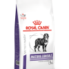 Royal Canin Veterinary Mature Consult Large Dog 14 kg - رویال کنین غذا برای سگ‌های بزرگ سن‌دار 14 کیلوگرم پاتی شاپ خرید فروش قیمت غذای گربه سگ تر خشک قیمت بهترین