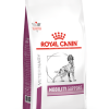 Royal Canin Veterinary Mobility Support Dog - رویال کنین پت تغذیه مناسب برای سگ‌های پشتیبانی حرکتی پاتی شاپ خرید فروش قیمت غذای گربه سگ تر خشک قیمت بهترین