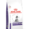 Royal Canin Veterinary Neutered Junior Dog 10 kg - خرید غذای خشک سگ رویال کنین پاتی شاپ خرید فروش قیمت غذای گربه سگ تر خشک قیمت بهترین