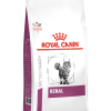 Royal Canin Veterinary Renal Cat - رویال کنین خرید غذای خشک گربه پاتی شاپ خرید فروش قیمت غذای گربه سگ تر خشک قیمت بهترین