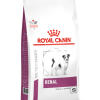 Royal Canin Veterinary Renal Small Dog - رویال کنین غذای خشک درمانی برای سگ‌های کوچک با مشکلات کلیوی پاتی شاپ خرید فروش قیمت غذای گربه سگ تر خشک قیمت بهترین