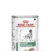 Royal Canin Veterinary Satiety Weight Management Dog Loaf - رویال کنین کنسرو غذایی مناسب برای کاهش وزن سگ (12 x 410 g) پاتی شاپ خرید فروش قیمت غذای گربه سگ تر خشک قیمت بهترین