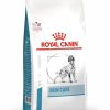 Royal Canin Veterinary Skin Care Dog - رویال کنین خوراک دامپزشکی مراقبت از پوست سگ پاتی شاپ خرید فروش قیمت غذای گربه سگ تر خشک قیمت بهترین