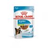 Royal Canin X-Small Puppy Chunks in Gravy - رویال کنین خرید غذای خشک برای توله سگ های کوچک پاتی شاپ خرید فروش قیمت غذای گربه سگ تر خشک قیمت بهترین