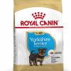 Royal Canin Yorkshire Terrier Puppy - رویال کنین غذای خشک توله یورکشایر تریر پاتی شاپ خرید فروش قیمت غذای گربه سگ تر خشک قیمت بهترین